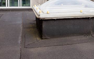 disadvantages of Leysters flat roofs